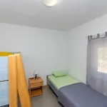 Apartment Ivan *